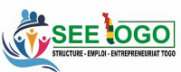 Seetogo Logo